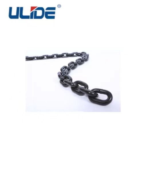 100��(j��)�e����朗l